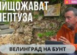 Васил Тодев в подкаста на OFFNews