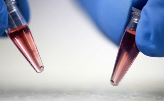 Странен вирус от Япония променя разбирането за произхода на живота