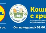 Кошница с грижа