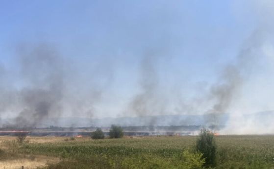 Спряха движението по АМ Тракия край Ямбол заради задимяване