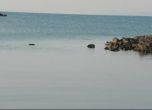 морето
