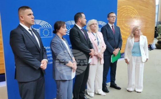 Делегация на ДПС даде брифинг днес в сградата на Европейския парламент в Страсбург - БТА