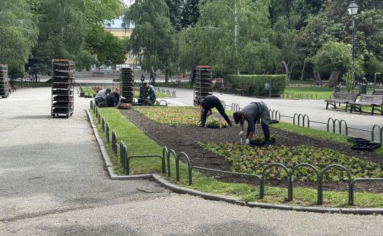Работници озеленяват пространството в градинката пред Народния театър „Иван Вазов“. БГНЕС/Андрей Николов