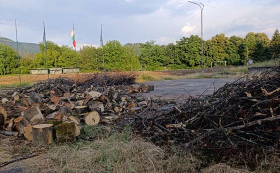 Граждани настояват за спиране на сечта край стадион Априлов