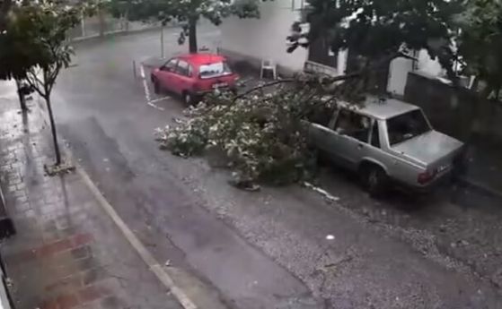 Силна буря удари Петрич, има щети