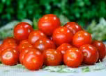 Чери домати. 
