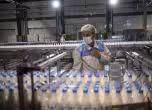 БАБХ е възбранила и насочила за унищожаване 174 092 кг храни