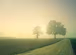 природа