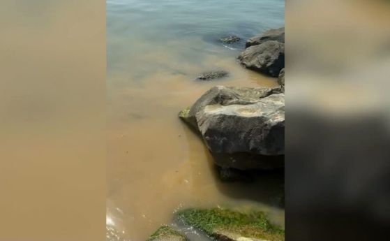 Фекални води на плаж в Свети Влас