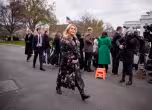 Левит