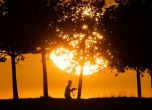 жега