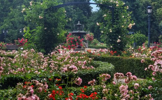 Разхлаждане днес, до 29 градуса в София