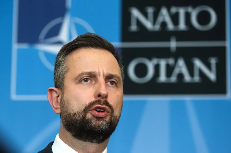 Владислав Кошиняк-Камиш