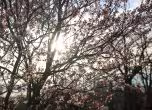 Времето
