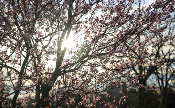 Слънце между облаците край морето