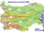 времето днес