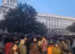 протест