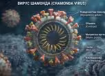 вирус