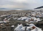 Зимата дойде официално на плажа в Бургас (Галерия) slid