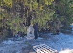 Близки на загиналите на Петрохан и Околчица поставят паметна плоча на прохода (ГАЛЕРИЯ, ВИДЕО) slid