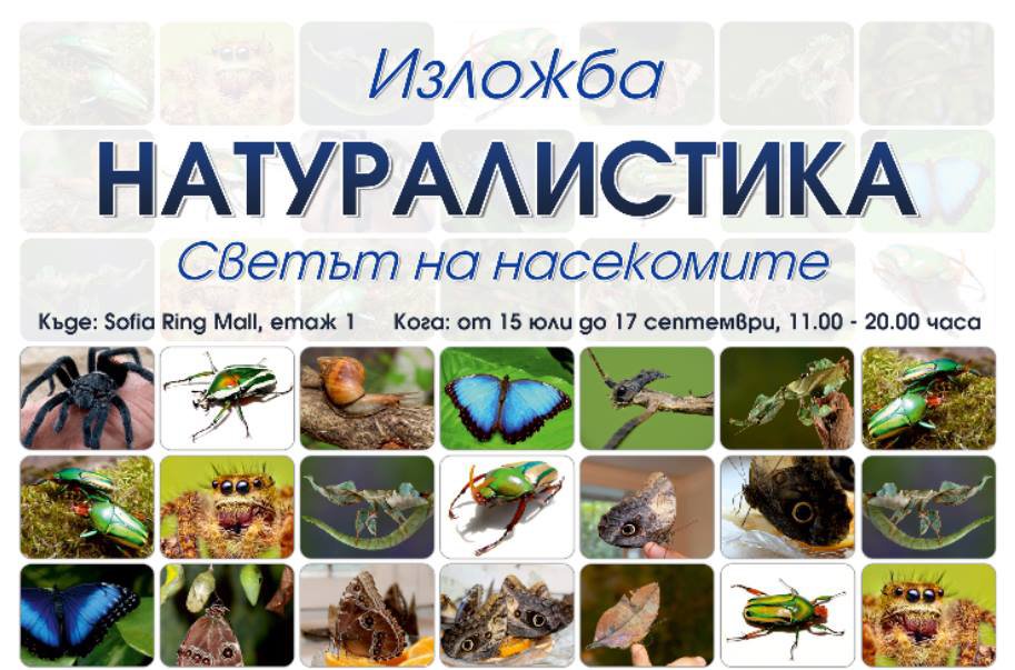 Изложба Натуралистика - Светът на насекомите | Животът
