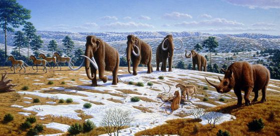 Artwork of fauna during the Pleistocene epoch in northern Spain, by Mauricio Antón, 2004, wikipedia