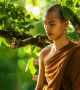 Изследване на тибетски монаси показва ползите от безбрачието