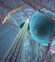 Тубулинът на Один - двигателят на еволюцията на сложните клетки (видео)