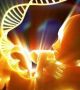Проучване установи, че техниката за ембриони от трима родители е безопасна (видео)