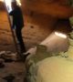 В Израел е открита погребална пещера, запечатана от времето на Рамзес II (видео)