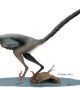 Открит е нов вид птицеподобен динозавър с останки от жаба в стомаха