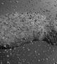 Астероидите тип "купчина отломки" са почти невъзможни за унищожаване