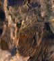 На 10 март бе отбелязана десетата годишнина от излизането на марсианска орбита на апарата на НАСА Mars Reconnaissance Orbiter (MRO) - една мисия, която направи революция в нашите възгледи на планетата.
Това изображение на HiRISE показва различни слоеве седиментни скали, вероятно, напластени във вода и разкрити от по-късните свлачища. Вълните в червеникаво са пясъчни дюни на върха на скалите.  Снимка: NASA