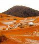Сняг падна върху червените пясъчни дюни на най-голямата  в света  пустиня.  Снимка: Karim Bouchetata