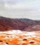 Сняг падна върху червените пясъчни дюни на най-голямата  в света  пустиня.  Снимка: Karim Bouchetata