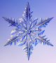Всеки като дете е бил омагьосан от празничната красота на снежинките. Защо са толкова разнообразни по форма? Защо всяко разклонение изглежда като другите пет? Защо, макар и прозрачни ледени кристалчета, натрупани като сняг, изглеждат бели?  Снимка: SnowCrystals.com