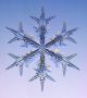 Всеки като дете е бил омагьосан от празничната красота на снежинките. Защо са толкова разнообразни по форма? Защо всяко разклонение изглежда като другите пет? Защо, макар и прозрачни ледени кристалчета, натрупани като сняг, изглеждат бели?  Снимка: SnowCrystals.com