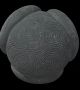 Едни от най-загадъчните обекти, създадени от човека от късната каменна ера в Европа, са сложно гравирани каменни топки, всяка с размери около топка за тенис, продължават да озадачават археолозите повече от 200 години, откакто са открити за пръв път.  Снимка: National Museums Scotland