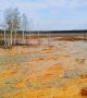 Ярко оранжев пейзаж в околностите на мина близо до село Левиха в Урал. Водата, смесвайки се под земята с медния пирит, който има високо съдържание на сяра, образува смес от сярна киселина с голямо количество мед и други метали. И всичко това изтича. Сега водата от мината се разлива на повърхността, създавайки космически пейзажи.  Снимка: Наш Урал