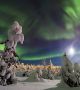 Луната свети над тази заснежена гора в Мурманск, Русия на фона на светлозелено полярно сияние в нощното небе.  Снимка: International Earth&Sky Photo Contest