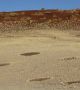 Тайнствените кръгове (fairy circles) покриват тревистите степи на Намибия на площи от няколко хиляди километра. Срещат се и в Ангола и Южна Африка. Те достигат от 2 до 15 м в диаметър. Вътре в загадъчните кръгове нищо не расте. За първи път за тях е съобщено през 1971. Учените не могат напъно да обяснят това природно явление  Снимка: pinterest.com