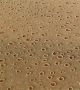 Тайнствените кръгове (fairy circles) покриват тревистите степи на Намибия на площи от няколко хиляди километра. Срещат се и в Ангола и Южна Африка. Те достигат от 2 до 15 м в диаметър. Вътре в загадъчните кръгове нищо не расте. За първи път за тях е съобщено през 1971. Учените не могат напъно да обяснят това природно явление  Снимка: pinterest.com
