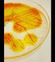 През 2015 г. Американското дружество за микробиология обяви конкурс за най-добро произведение на изкуството, направено с помощта на микроби. Учени-художници създадоха невероятни картини, използвайки само колонии от бактерии и гъбички, вместо боя и агар-агар, желеобразна основа за културите вместо платно.  Снимка:  American Society for Microbiology